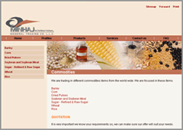 Screenshot minhajinternational.com